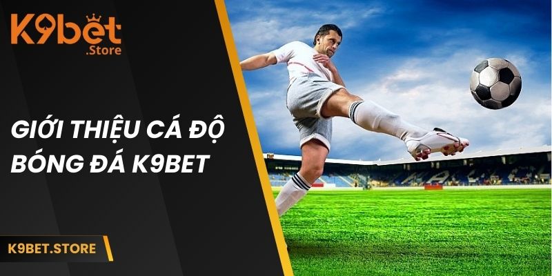 Sảnh cá cược bóng đá K9BET là điểm đến của dân đam mê thể thao giải trí