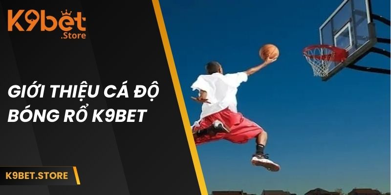 Giới thiệu về cá cược bóng rổ K9BET đang cực hót hiện nay