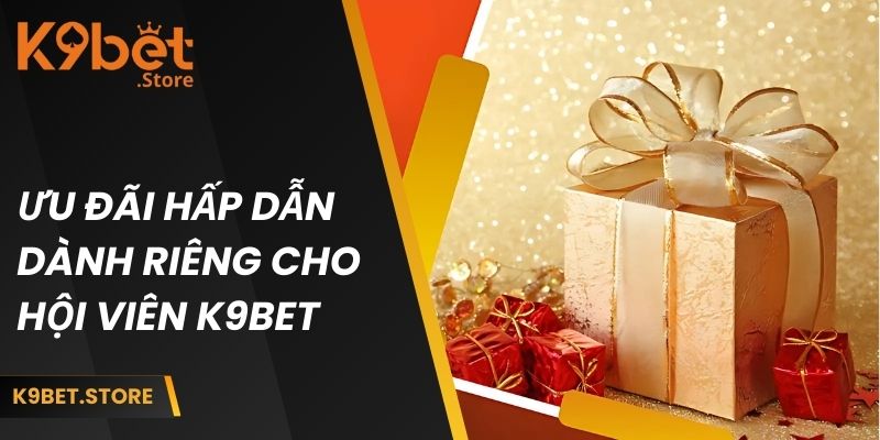 Ưu đãi dành cho hội viên tham gia K9 BET