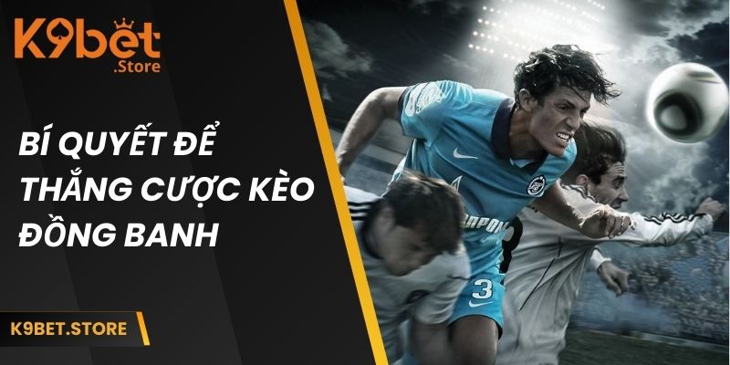 Bí quyết và kinh nghiệm quý báu để thắng cược tại K9BET