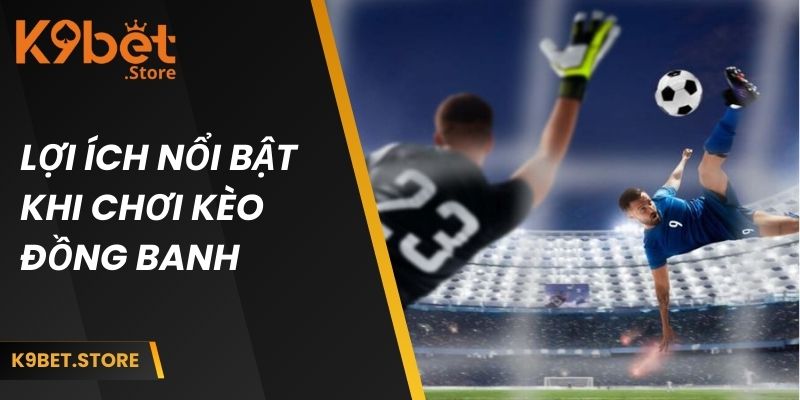 Những lợi ích nổi bật khi chơi kèo cược đồng banh cùng K9BET