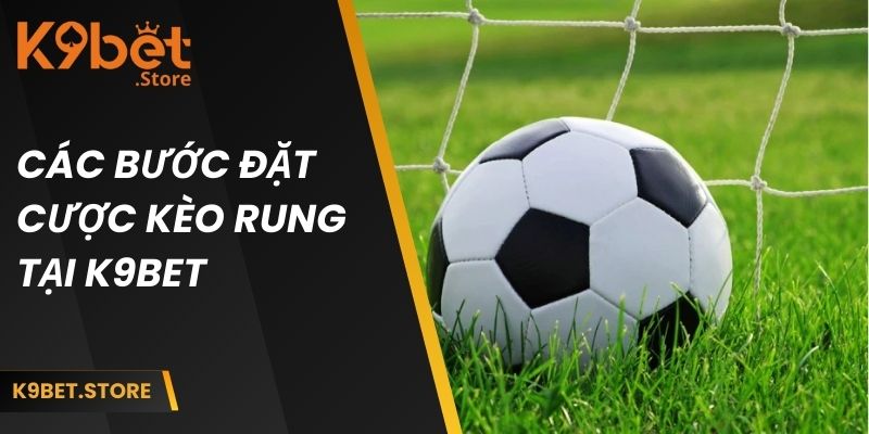 Hướng dẫn các bước đặt cược nhanh chóng tại nhà cái