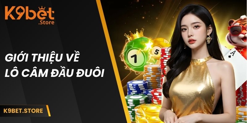 Giới thiệu chi tiết về lô đầu đuôi câm