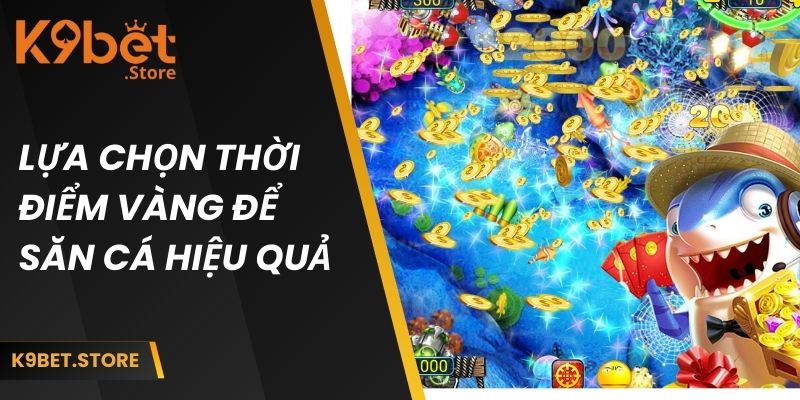 Game Bắn Cá Ăn Tiền | Trải Nghiệm Giải Trí Đổi Thưởng Cực Đã 5 Lựa chọn thời điểm vàng để săn cá hiệu quả