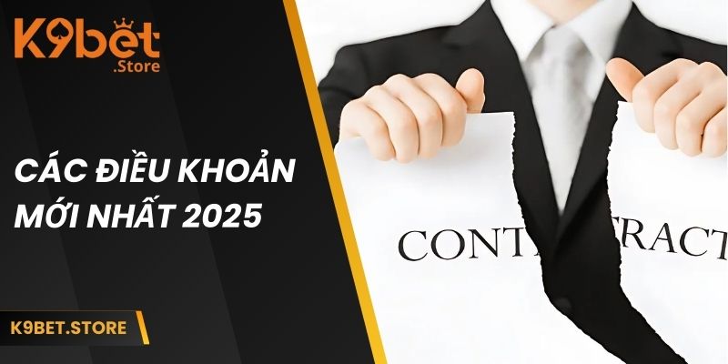 Miễn Trừ Trách Nhiệm 3 Các điều khoản mới nhất 2025