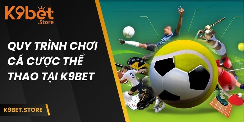 Quy trình chơi cá cược thể thao tại nhà cái k9bet